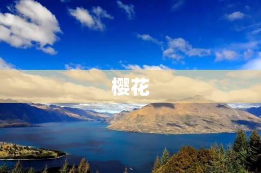 樱花:开花之前的生长之谜