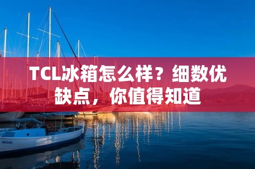 TCL冰箱怎么样？细数优缺点，你值得知道