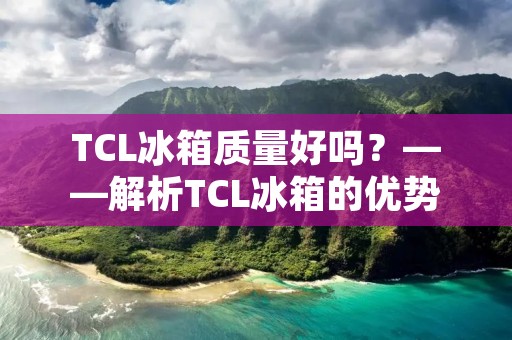 TCL冰箱质量好吗？——解析TCL冰箱的优势与劣势