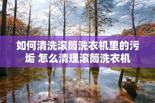 如何清洗滚筒洗衣机里的污垢 怎么清理滚筒洗衣机