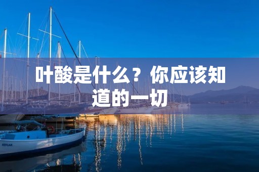 叶酸是什么?你应该知道的一切 叶酸是什么?你应该知道的一切