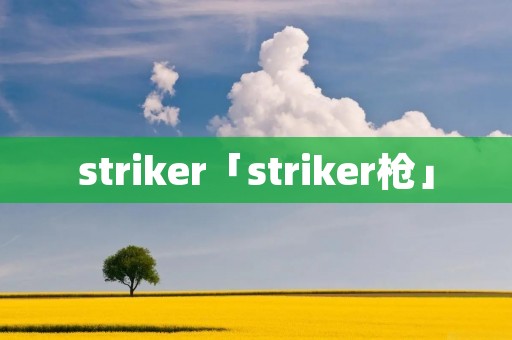 striker「striker枪」