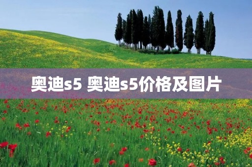 奥迪s5 奥迪s5价格及图片