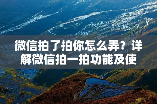微信拍了拍你怎么弄？详解微信拍一拍功能及使用技巧