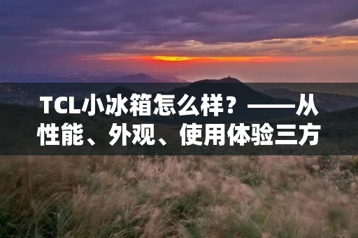 TCL小冰箱怎么样？——从性能、外观、使用体验三方面分析