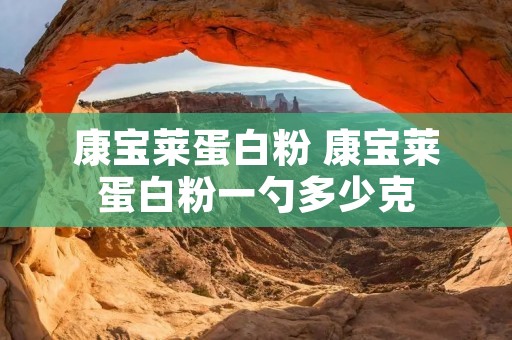 康宝莱蛋白粉 康宝莱蛋白粉一勺多少克