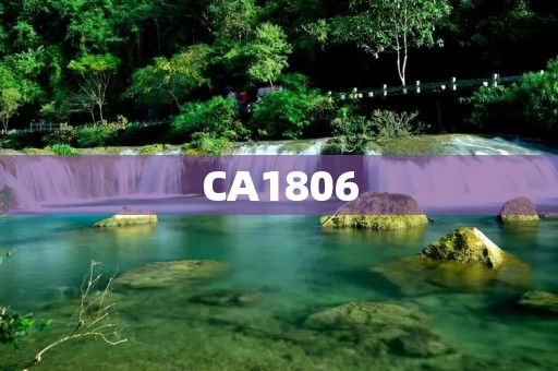 CA1806：带你了解商务英语考试