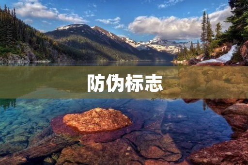 防伪标志:保护消费者权益的重要手段 防伪标志:保护消费者权益的重要手段