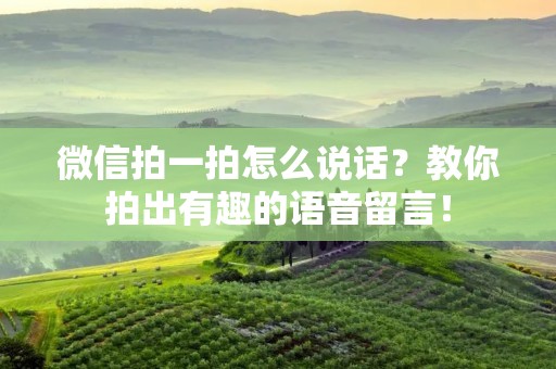 微信拍一拍怎么说话?教你拍出有趣的语音留言! 微信拍一拍怎么说话?教你拍出有趣的语音留言!