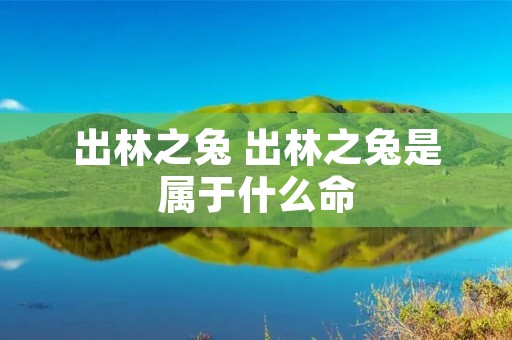 出林之兔 出林之兔是属于什么命