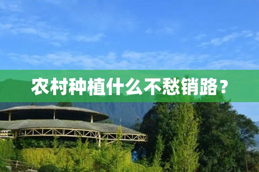 农村种植什么不愁销路？