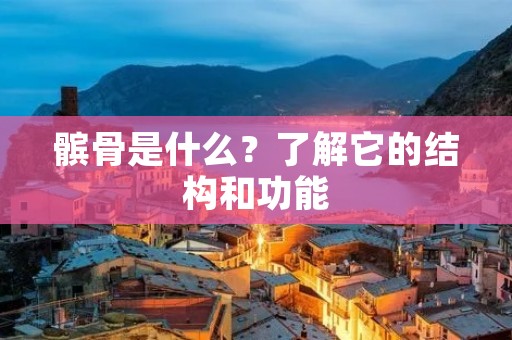 髌骨是什么?了解它的结构和功能 髌骨是什么?了解它的结构和功能