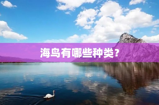 海鸟有哪些种类？