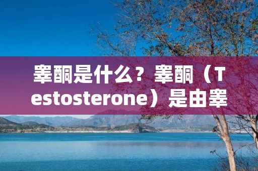 睾酮是什么？睾酮（Testosterone）是由睾丸分泌的一种雄性激素，也是一种类固醇激素。睾酮在男性中起着至关重要的作用，例如促进生殖器官的发育、维持男性第二性征、促进**的生成、增强肌肉力量和骨骼密度等。此外，睾酮还在女性中起着一定的作用，例如参与卵巢功能的调节、促进骨骼健康等。