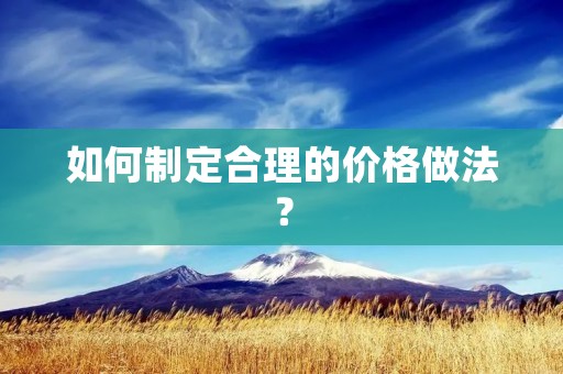 如何制定合理的价格做法？