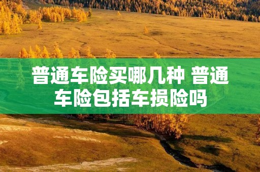 普通车险买哪几种 普通车险包括车损险吗