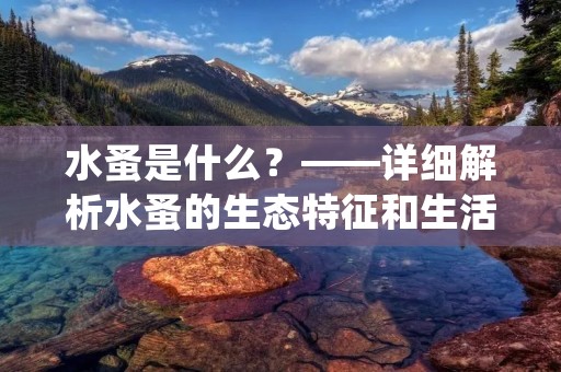 水蚤是什么？——详细解析水蚤的生态特征和生活习性