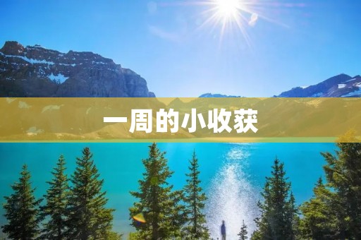 一周的小收获 一周的小收获