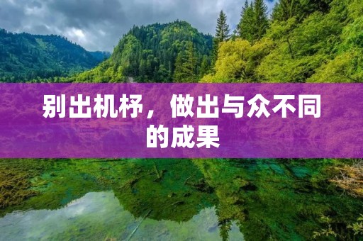 别出机杼,做出与众不同的成果