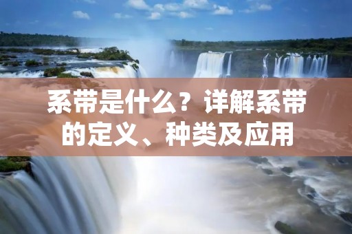 系带是什么?详解系带的定义、种类及应用 系带是什么?详解系带的定义、种类及应用