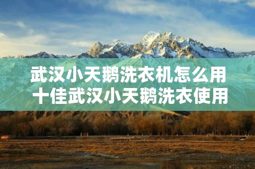 武汉小天鹅洗衣机怎么用 十佳武汉小天鹅洗衣使用方法