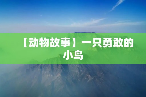 【动物故事】一只勇敢的小鸟