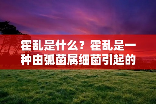 霍乱是什么？霍乱是一种由弧菌属细菌引起的肠道传染病，主要通过饮用被污染的水源或食用被污染的食物而传播。霍乱的症状包括剧烈腹泻、呕吐、腹部疼痛、高烧、脱水等，严重时可导致死亡。