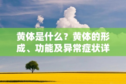 黄体是什么？黄体的形成、功能及异常症状详解