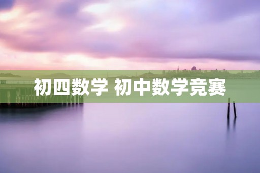 初四数学 初中数学竞赛