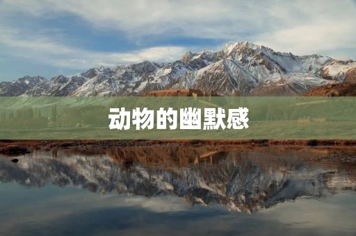 动物的幽默感:从笑谈中看动物世界 动物的幽默感:从笑谈中看动物世界