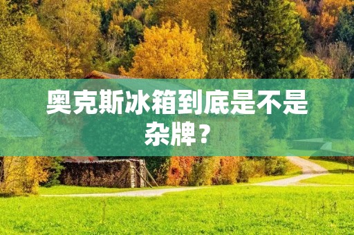 奥克斯冰箱到底是不是杂牌？