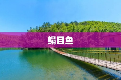 鳎目鱼：一种美味的海鲜