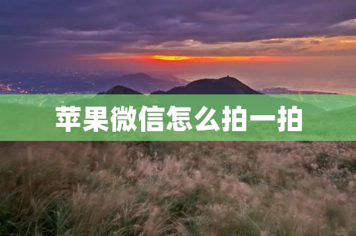 苹果微信怎么拍一拍:教你轻松使用微信拍一拍功能 苹果微信怎么拍一拍:教你轻松使用微信拍一拍功能
