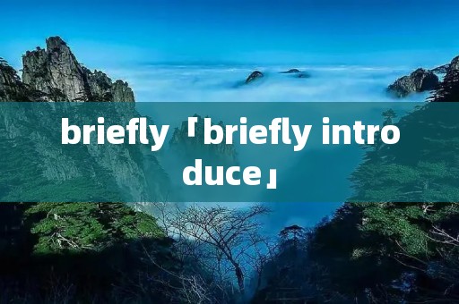briefly「briefly introduce」 briefly「briefly introduce」