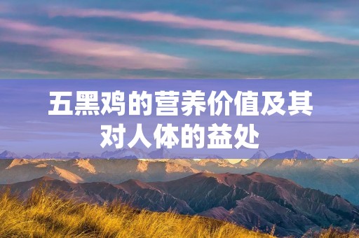 五黑鸡的营养价值及其对人体的益处