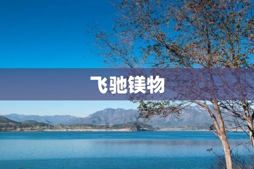飞驰镁物:引领新能源汽车轻量化时代 飞驰镁物:引领新能源汽车轻量化时代