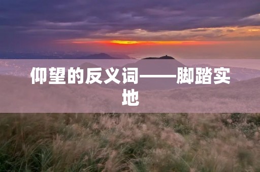 仰望的反义词——脚踏实地