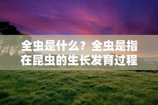 全虫是什么?全虫是指在昆虫的生长发育过程中,从卵到成虫的所有阶段都被计算在内的一种计算方法。这个概念通常用于昆虫研究和昆虫害虫控制。 全虫是什么?全虫是指在昆虫的生长发育过程中,从卵到成虫的所有阶段都被计算在内的一种计算方法。这个概念通常用于昆虫研究和昆虫害虫控制。