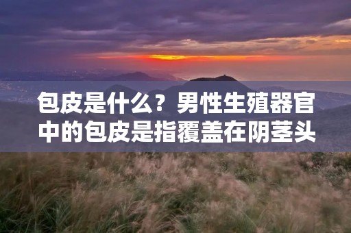 包皮是什么？男性生殖器官中的包皮是指覆盖在**头部周围的皮肤褶皱。包皮在男性性生活中扮演着非常重要的角色，因为它有助于保护**头部免受外界**和感染。然而，包皮也可能会引起某些健康问题，如包皮炎、包茎等。