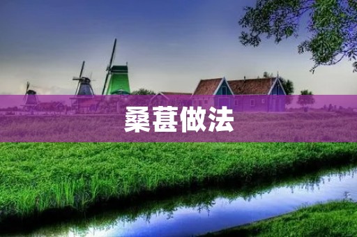 桑葚做法：美味又养生的桑葚制作方法