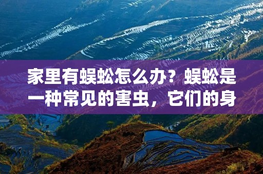 家里有蜈蚣怎么办？蜈蚣是一种常见的害虫，它们的身体扁平，长有许多条腿和一对有毒的螯肢。蜈蚣通常会藏在潮湿的地方，如厨房、浴室、地下室和储藏室等地方。它们非常快速和机敏，很难捕捉。如果你发现家里有蜈蚣，该怎么办呢？