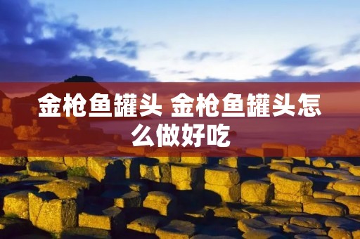 金枪鱼罐头 金枪鱼罐头怎么做好吃