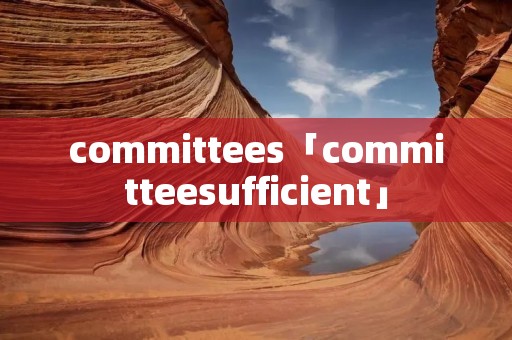 committees「committeesufficient」