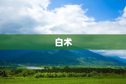 白术:从中医角度探究其药用价值 白术:从中医角度探究其药用价值