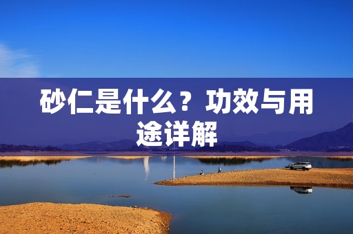 砂仁是什么?功效与用途详解 砂仁是什么?功效与用途详解