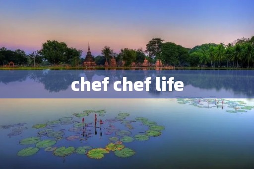 chef chef life chef chef life