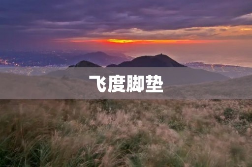 飞度脚垫:舒适驾驶的必备之物 飞度脚垫:舒适驾驶的必备之物
