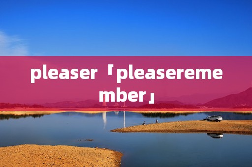 pleaser「pleaseremember」