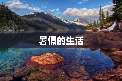 暑假的生活