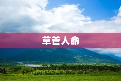 草菅人命：一个残酷的现实